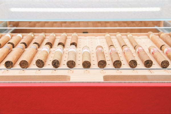 Humidor Rot