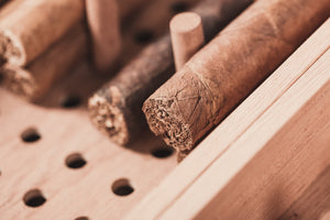 Humidor Single Tray